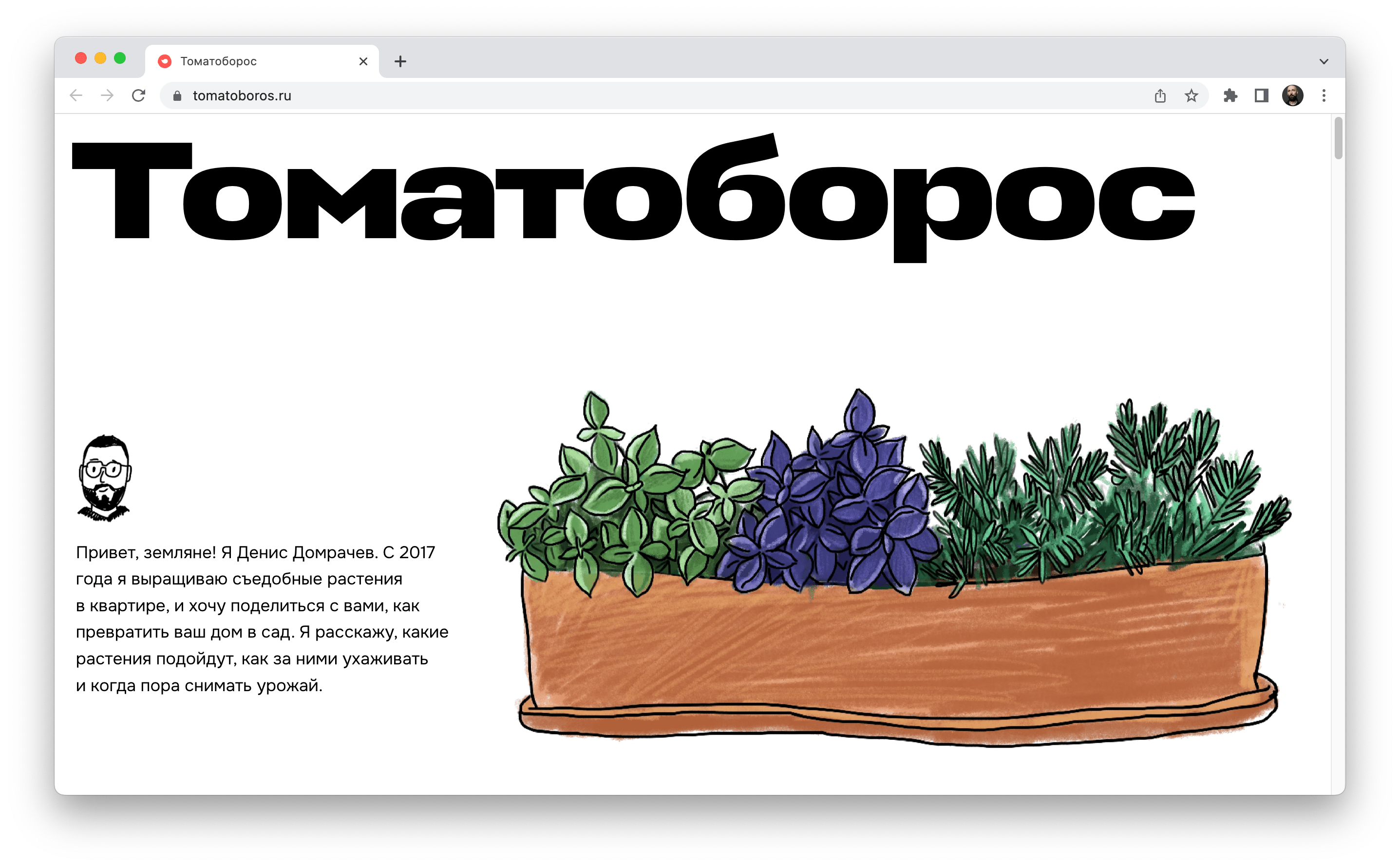 tomatoboros